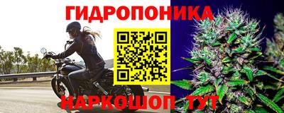 прущая мука Севастополь